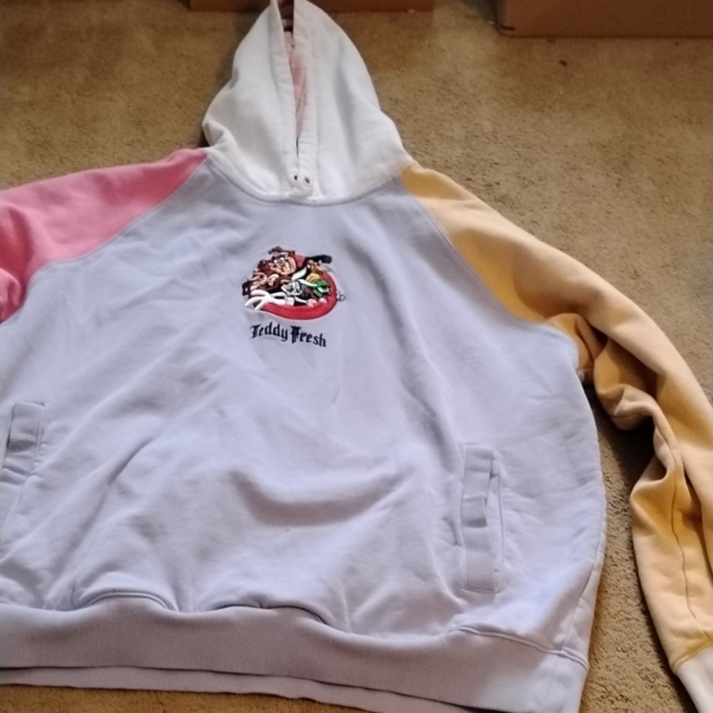 Teddy Fresh X Looney Tunes Colorblock Hoodie
